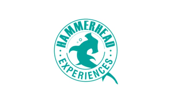 Hammerhead Experiences